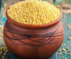 Kangni/Foxtail/Rala Millet