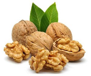 Walnut (Kashmiri & California)