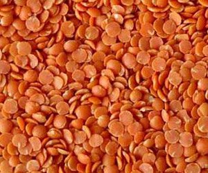 Split Red Lentils