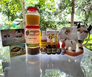 Panchagauvya Products